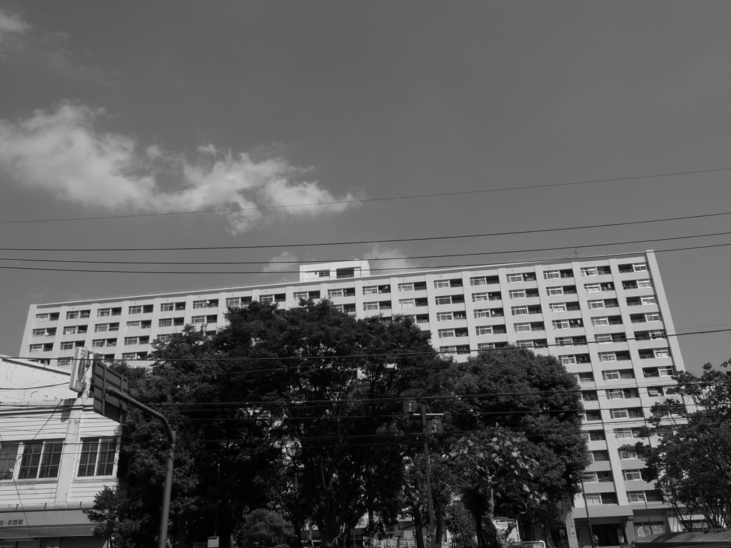 江東区大島付近