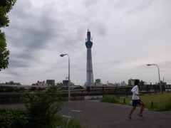 隅田川西岸台東リバーサイドスポーツセンター付近より