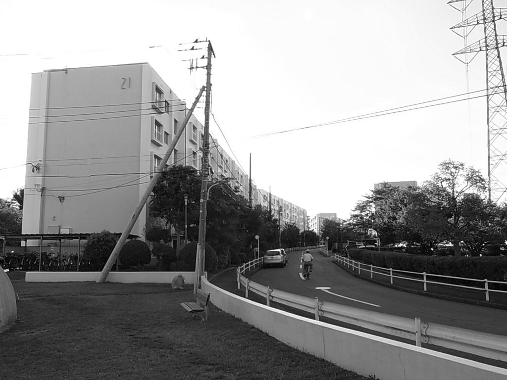 立川市富士見町団地21号棟前／2010年10月11日