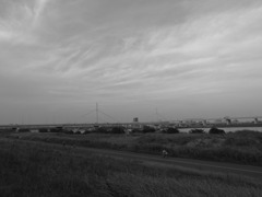 荒川大橋を南から