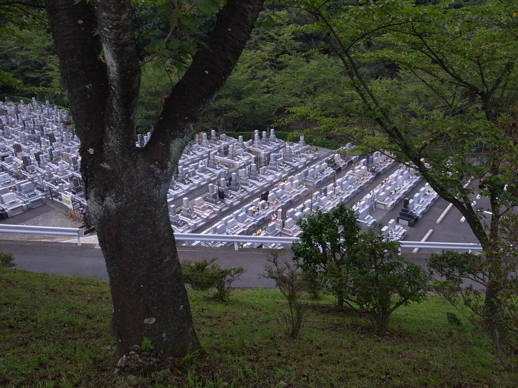 某霊園
