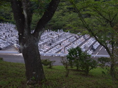 某霊園