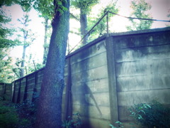 文京区切通公園の壁