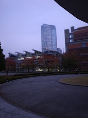 六本木ヒルズ（国立新美術館より）