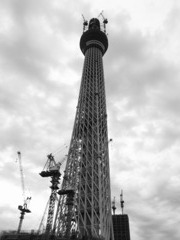 スカイツリー（モノクロ２）
