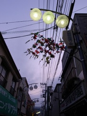 江東区大島銀座通り