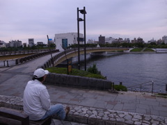 向島側からのさくら橋