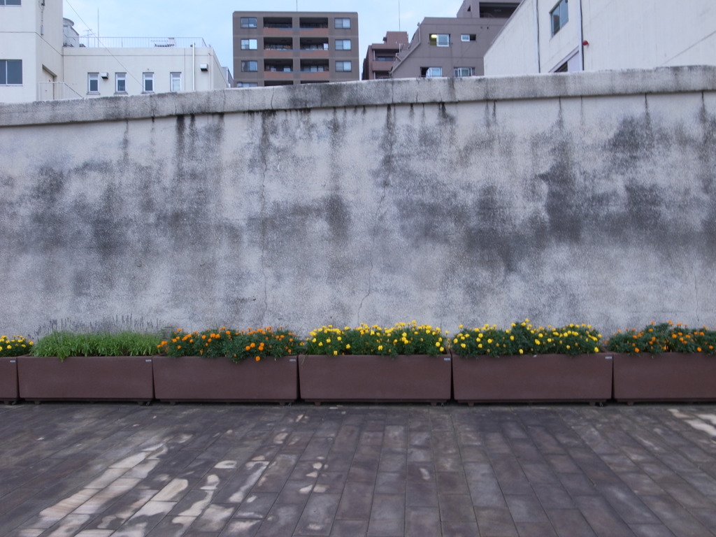 隅田川西岸の壁（浜町付近）