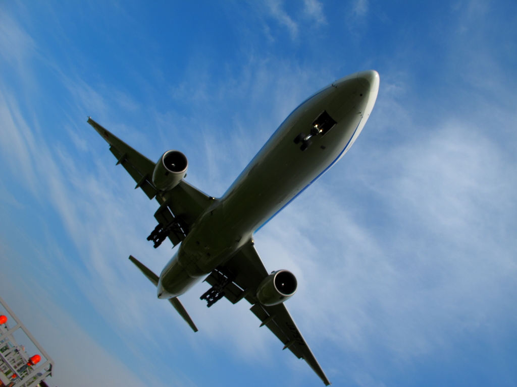 飛行機の下。