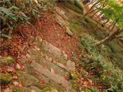 秋道。