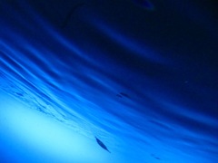 青