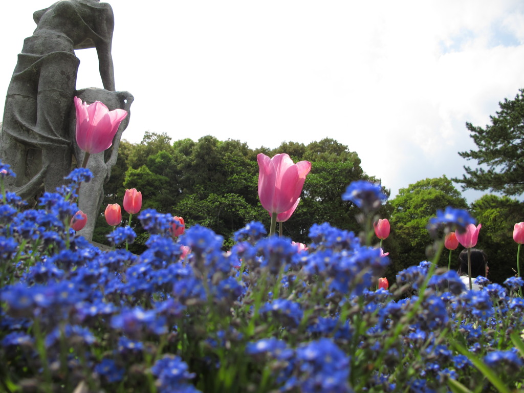 公園で