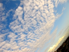雲模様。