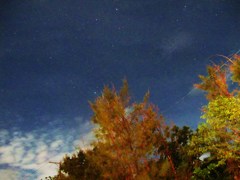 空を見上げて