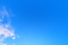 P8040539