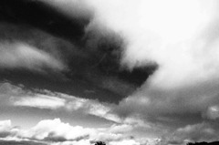P8050628