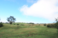 P8040397