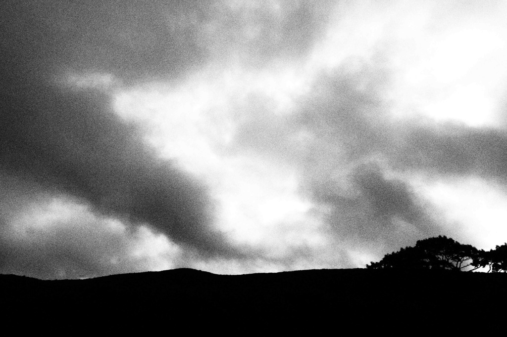 P8050626