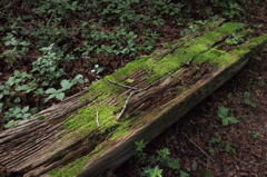 P8040409