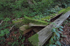 P8040502