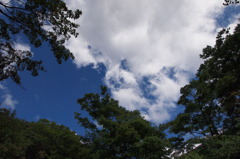 P8040494