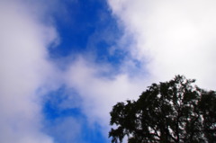 P8040399