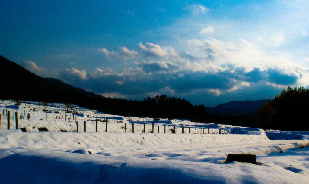 雪の棚田