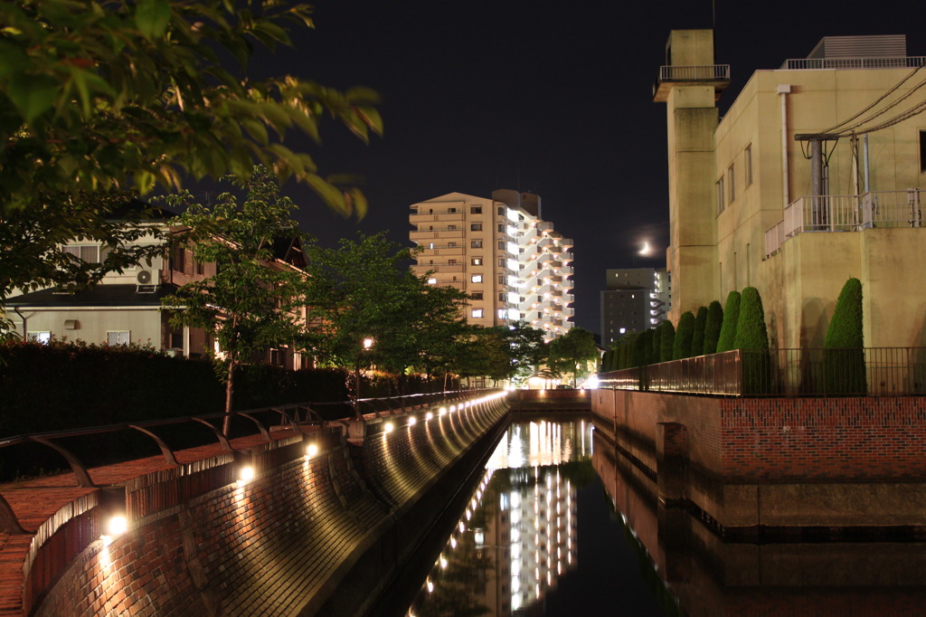 桑名の九華公園近く