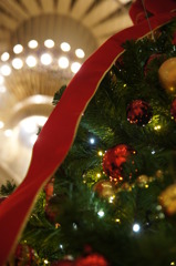 クリスマスツリー