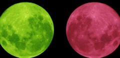 Fruits Moon