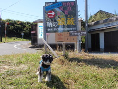 ロケ地に行って来ました。