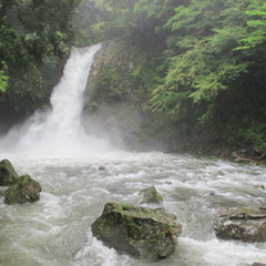 荒れ狂う・浄蓮の滝