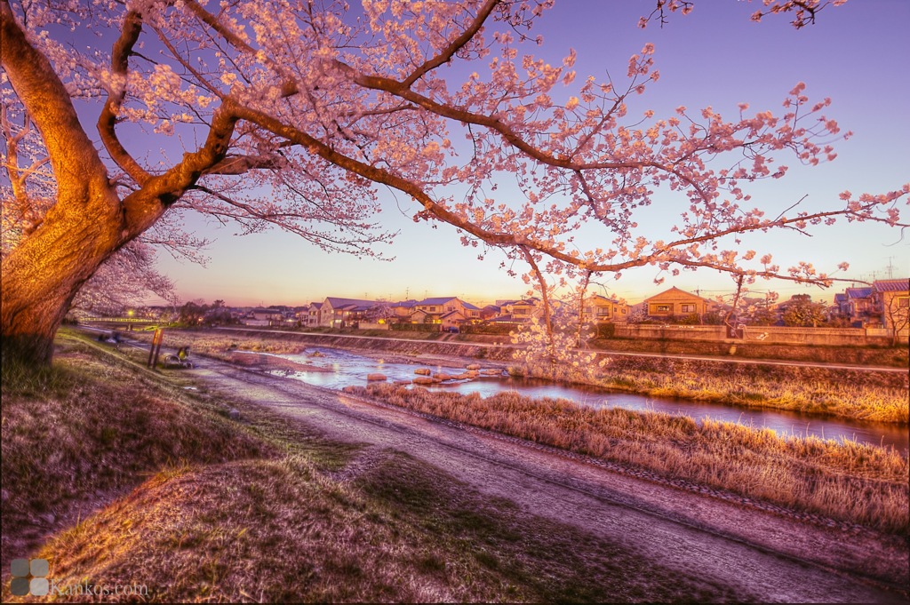 鴨川の上で