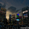 渋谷の夜
