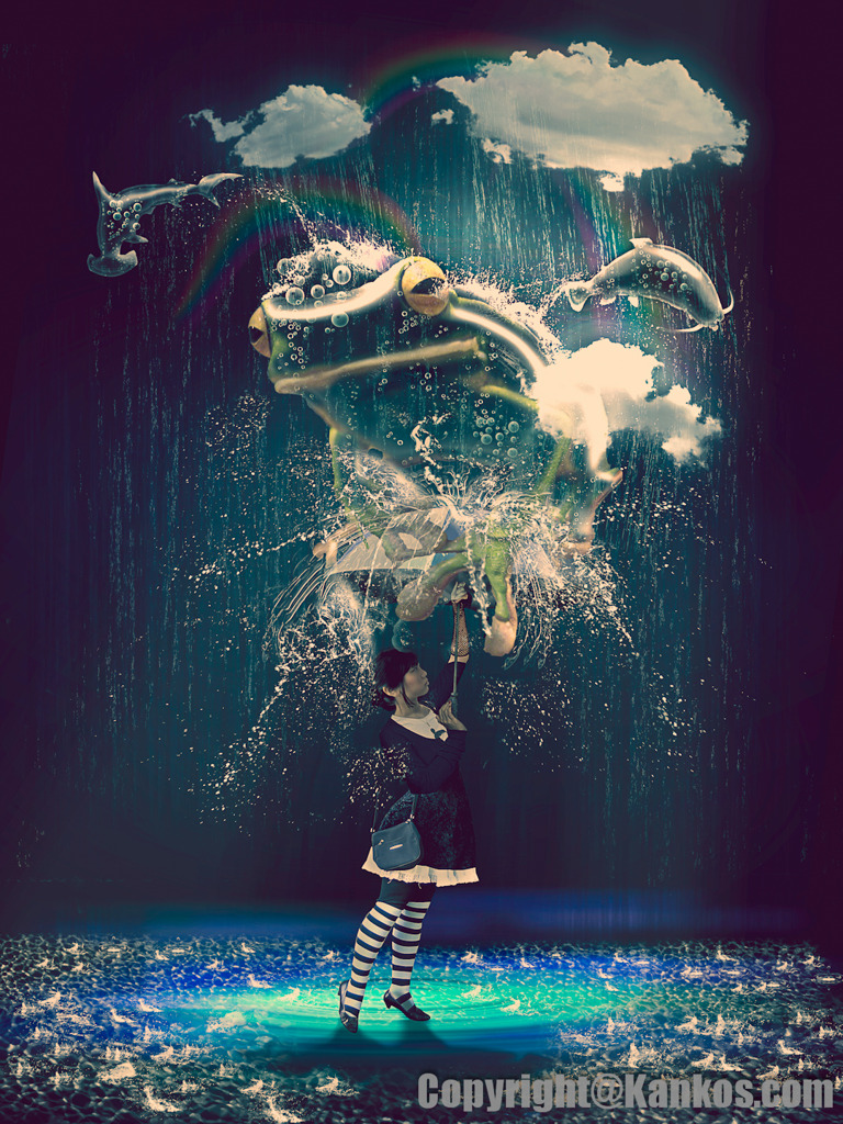 雨の蛙