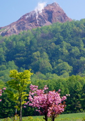 昭和新山