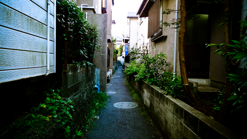 路地裏を行く