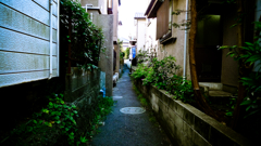路地裏を行く