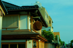 蜂
