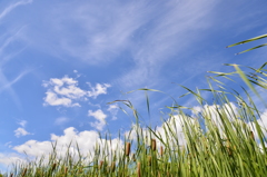 気持ちいい空