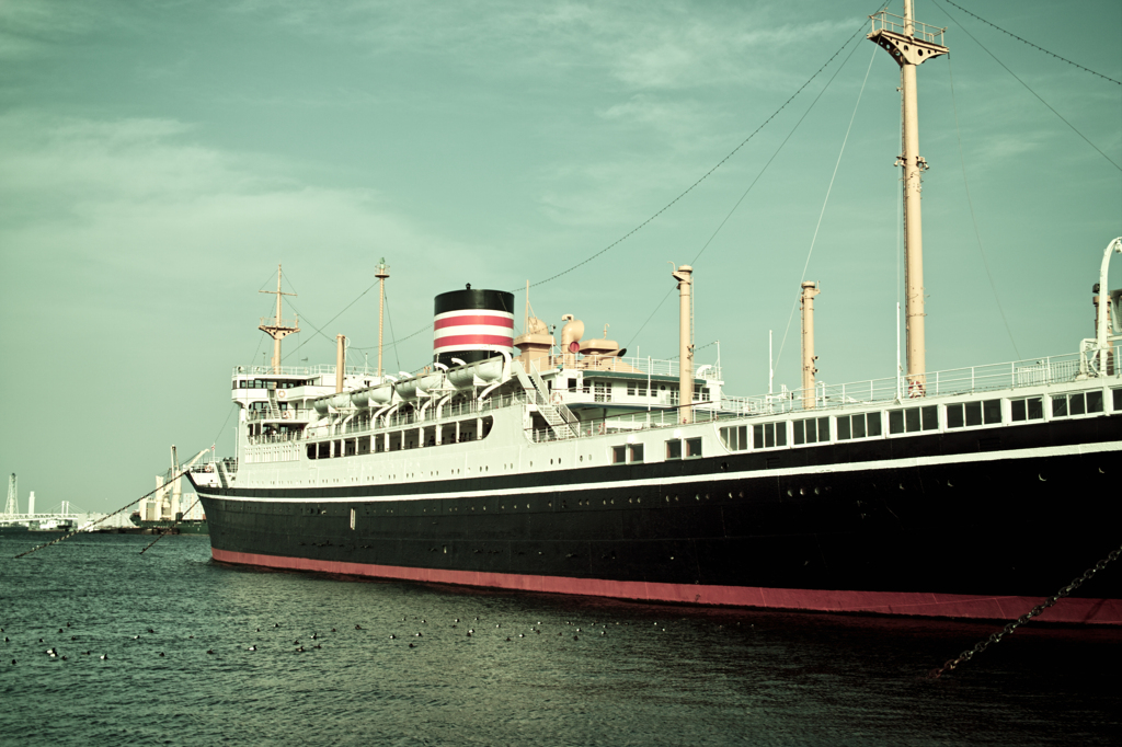 Passenger-cargo ship:HIKAWAMARU