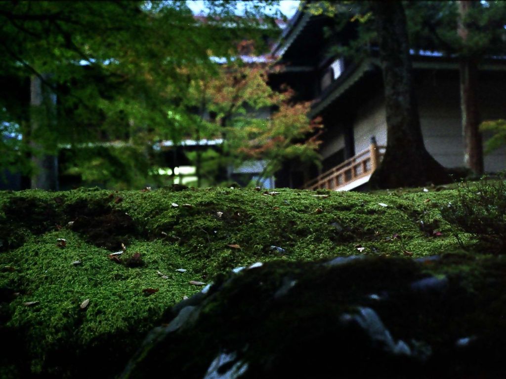 青々