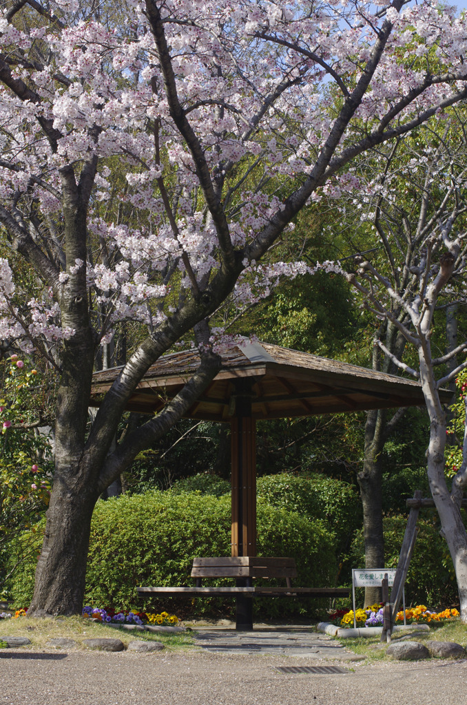 春の風景