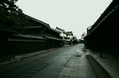 有松