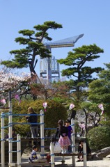 晴天の公園