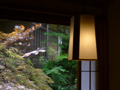 お部屋から
