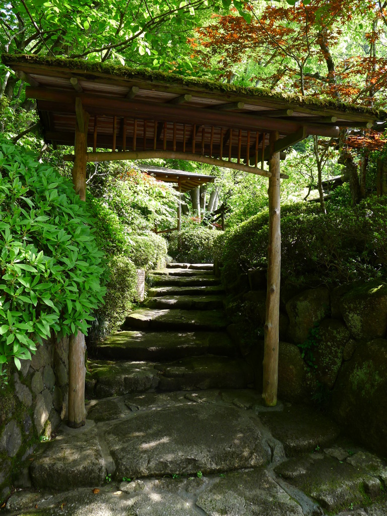 深緑への入口