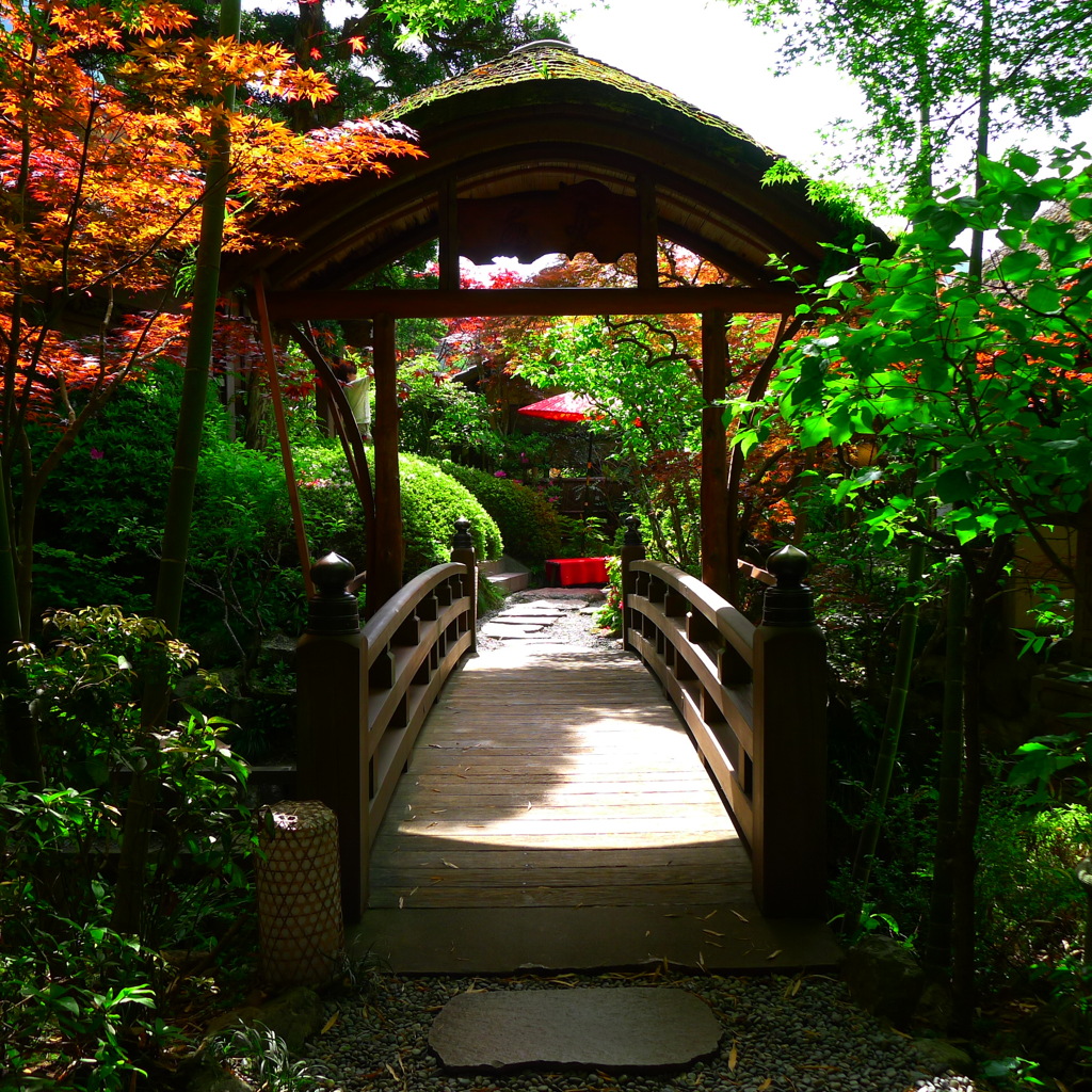 架け橋