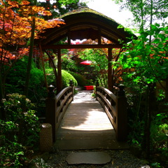 架け橋