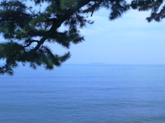 熱海の海